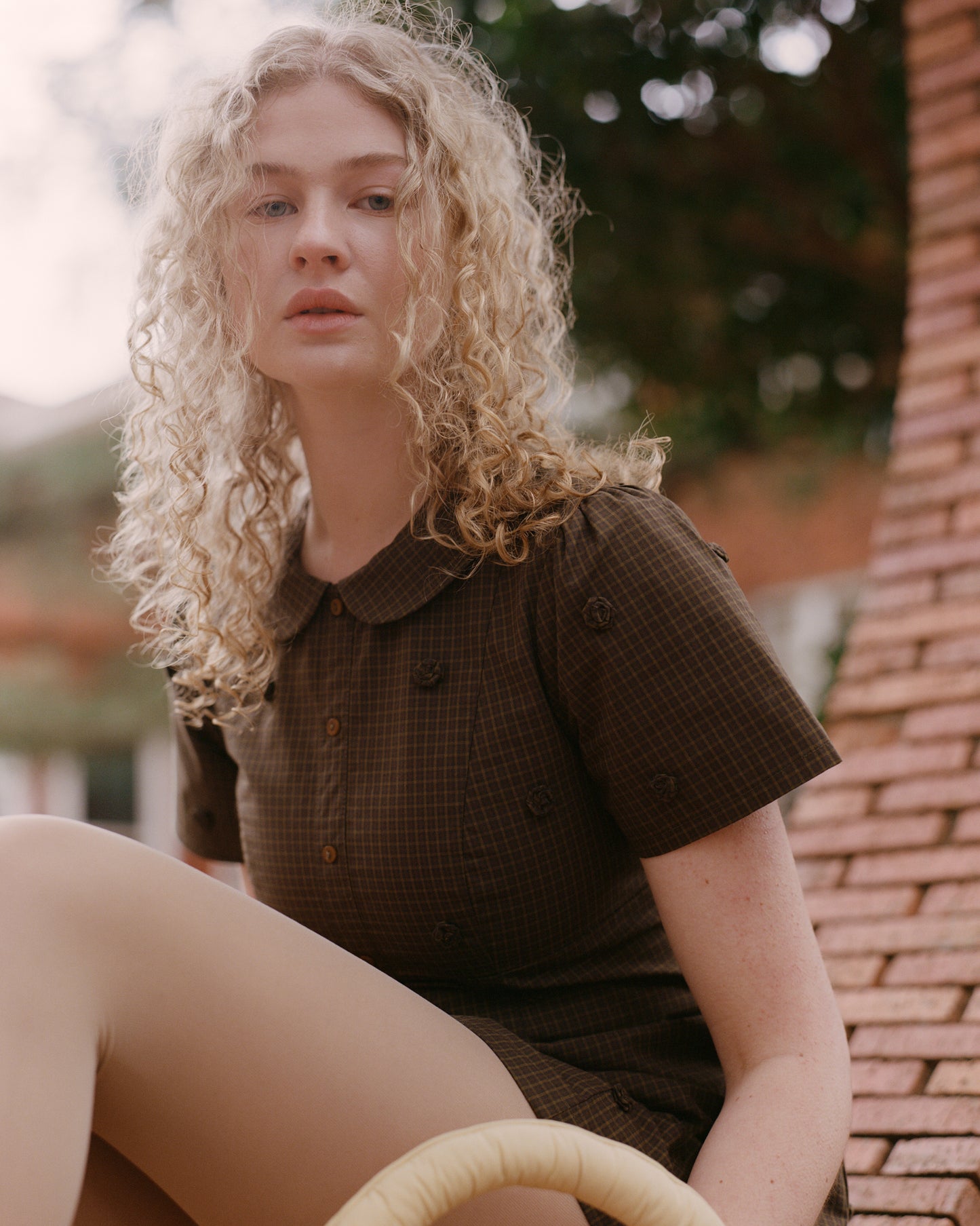 Rosette Check Mini Dress - Ivy Check