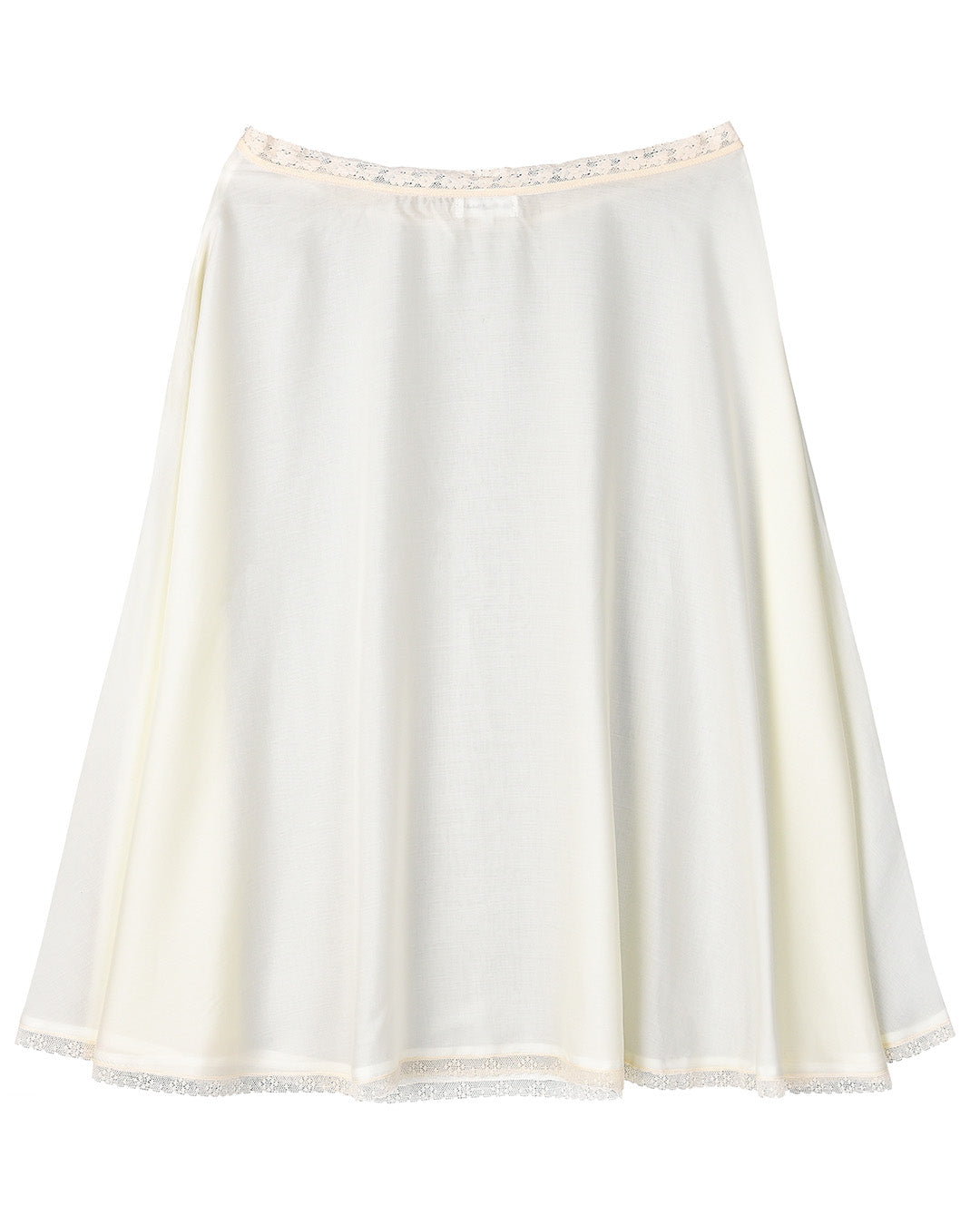 Sheer Slip Skirt Vintage